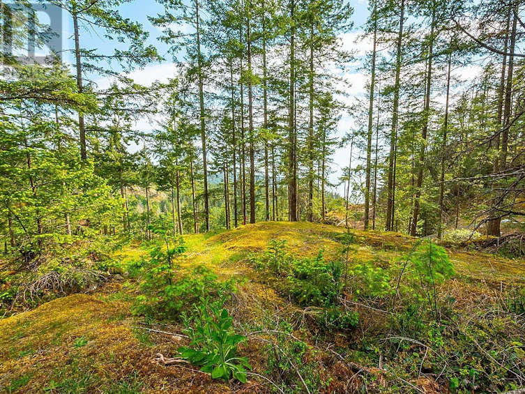 Lot 6 Hayes Road, Bowen Island, BC, V0N 1G2 - 3