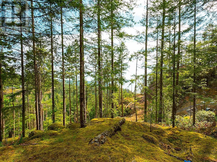 Lot 6 Hayes Road, Bowen Island, BC, V0N 1G2 - 4