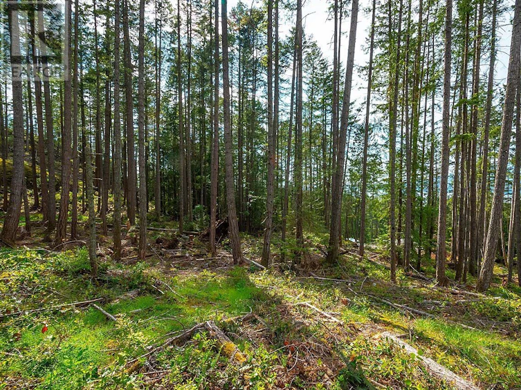 Lot 3 Hayes Road, Bowen Island, BC, V0N 1G2 - 3