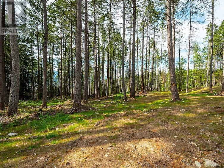 Lot 4 Hayes Road, Bowen Island, BC, V0N 1G2 - 3