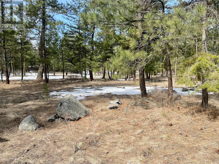 LOT-4 Whitetail Place, Osoyoos, BC, V0H 1V6 - 5
