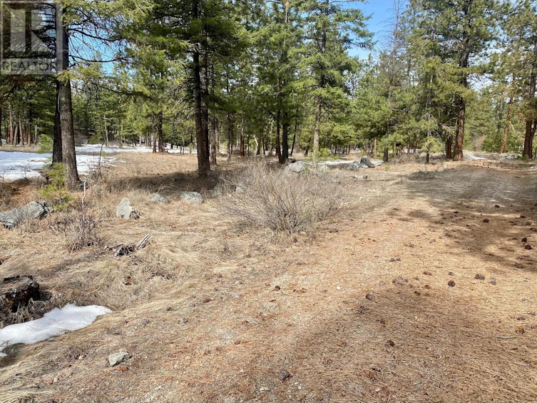 LOT-4 Whitetail Place, Osoyoos, BC, V0H 1V6 - 6