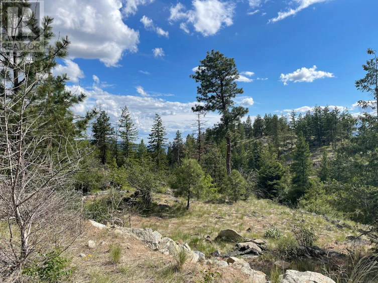 268 Grizzly Road, Osoyoos, BC, V0H 1V6 - 10