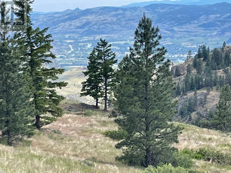 268 Grizzly Road, Osoyoos, BC, V0H 1V6 - 16
