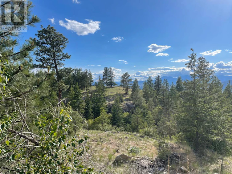 268 Grizzly Road, Osoyoos, BC, V0H 1V6 - 17