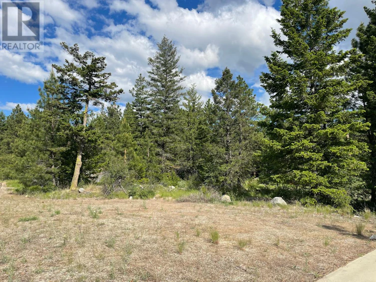 268 Grizzly Road, Osoyoos, BC, V0H 1V6 - 2