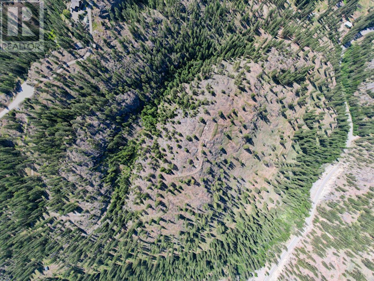 268 Grizzly Road, Osoyoos, BC, V0H 1V6 - 21