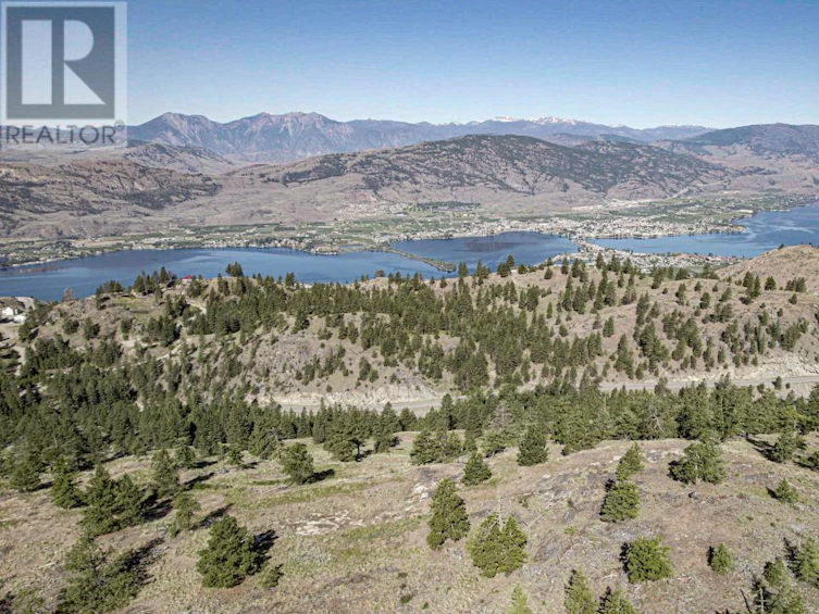 268 Grizzly Road, Osoyoos, BC, V0H 1V6 - 49
