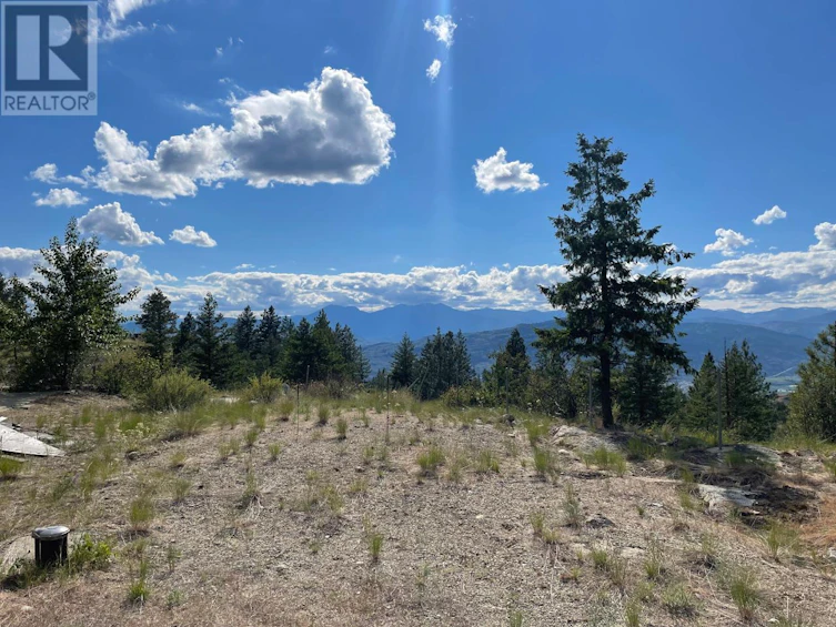 268 Grizzly Road, Osoyoos, BC, V0H 1V6 - 5