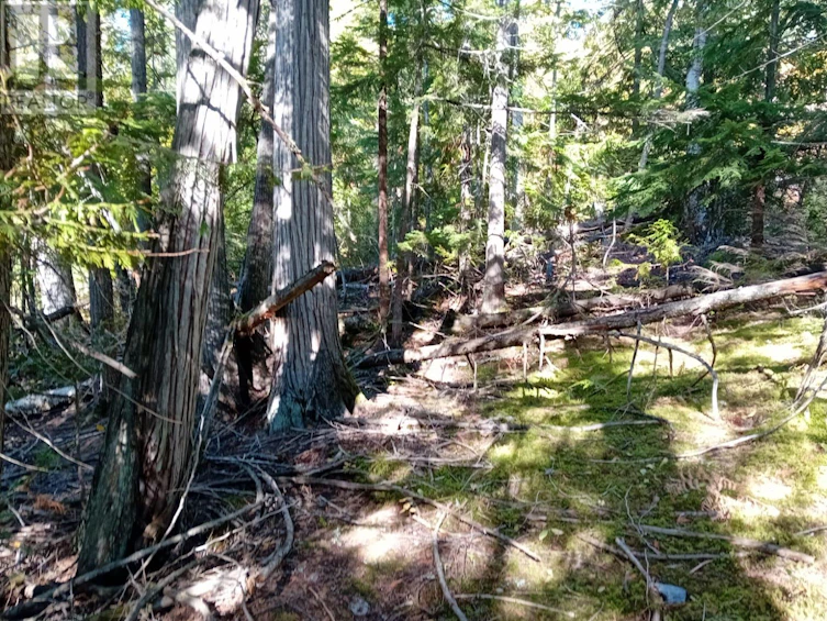 LOT-372 Aspen Road, Anglemont, BC, V0E 1M8