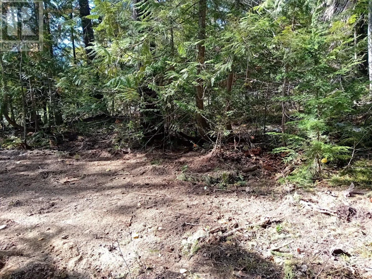 LOT-372 Aspen Road, Anglemont, BC, V0E 1M8 - 2