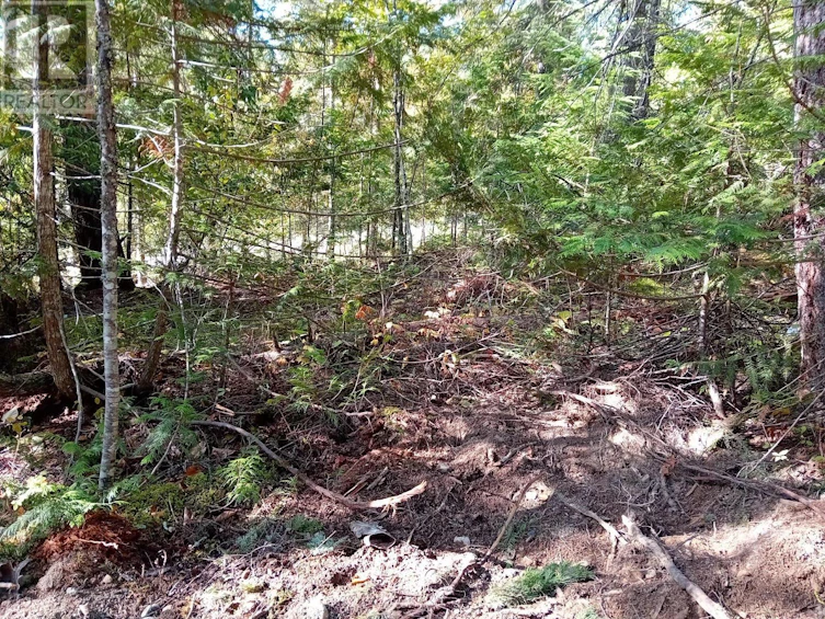 LOT-372 Aspen Road, Anglemont, BC, V0E 1M8 - 6