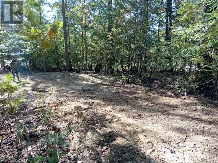 LOT-372 Aspen Road, Anglemont, BC, V0E 1M8 - 7