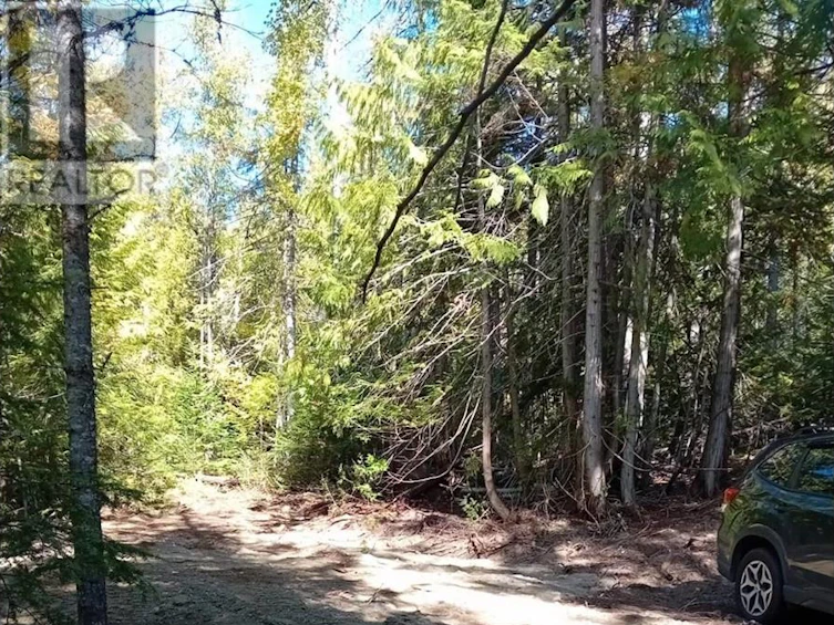 LOT-372 Aspen Road, Anglemont, BC, V0E 1M8 - 8