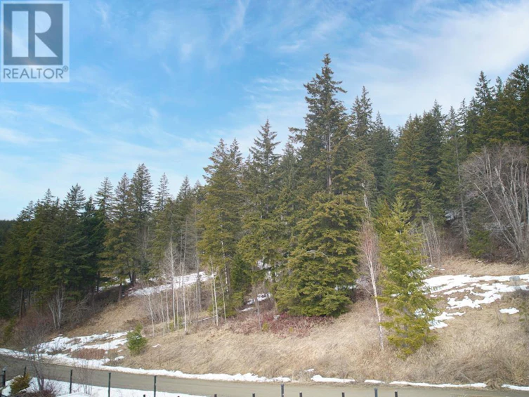 21-2481 Squilax Anglemont Road, Lee Creek, BC, V0E 1M4 - 7