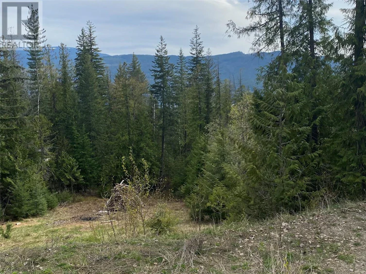 Lot 2 Anglemont Way, Anglemont, BC, V0E 1M8