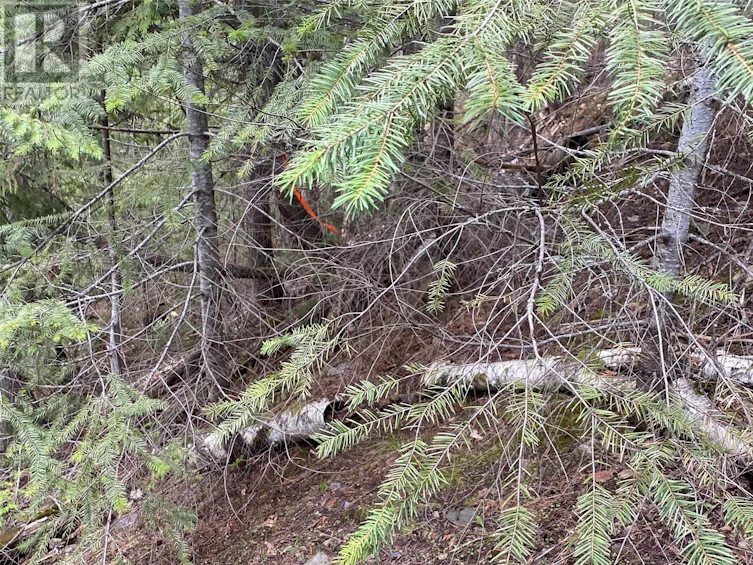 Lot 2 Anglemont Way, Anglemont, BC, V0E 1M8 - 10