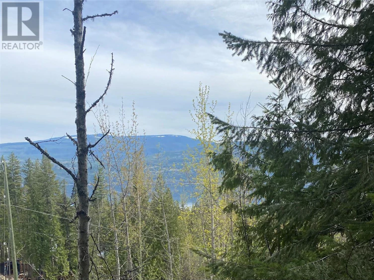 Lot 2 Anglemont Way, Anglemont, BC, V0E 1M8 - 11