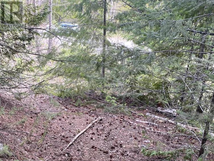Lot 2 Anglemont Way, Anglemont, BC, V0E 1M8 - 12