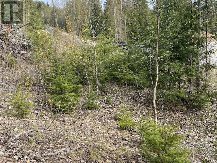 Lot 2 Anglemont Way, Anglemont, BC, V0E 1M8 - 13