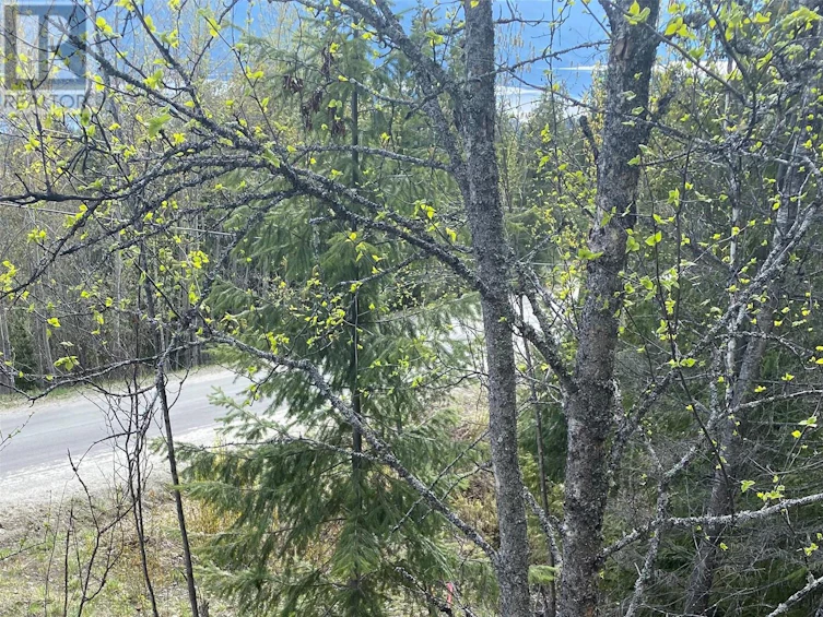 Lot 2 Anglemont Way, Anglemont, BC, V0E 1M8 - 14