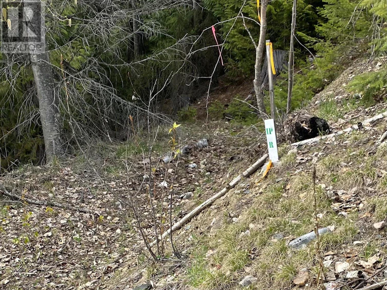 Lot 2 Anglemont Way, Anglemont, BC, V0E 1M8 - 16
