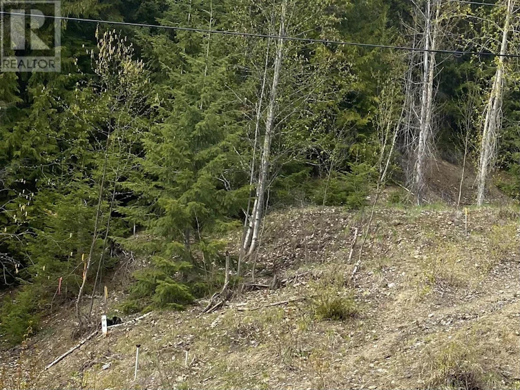 Lot 2 Anglemont Way, Anglemont, BC, V0E 1M8 - 17