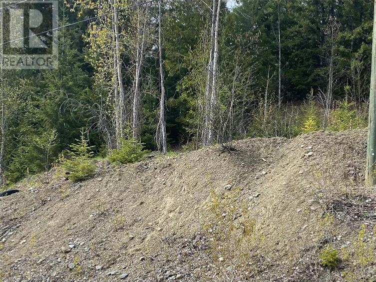 Lot 2 Anglemont Way, Anglemont, BC, V0E 1M8 - 18