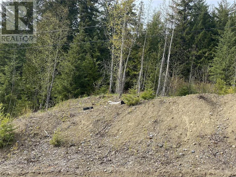 Lot 2 Anglemont Way, Anglemont, BC, V0E 1M8 - 19