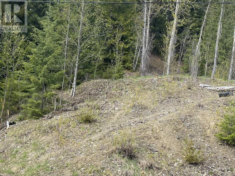 Lot 2 Anglemont Way, Anglemont, BC, V0E 1M8 - 2