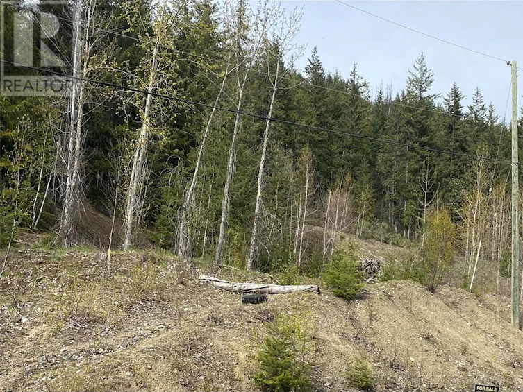 Lot 2 Anglemont Way, Anglemont, BC, V0E 1M8 - 20