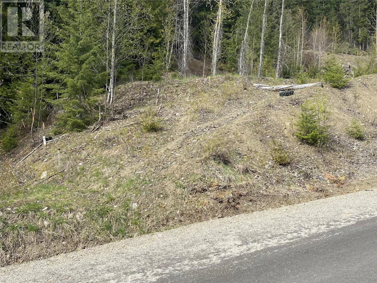 Lot 2 Anglemont Way, Anglemont, BC, V0E 1M8 - 21