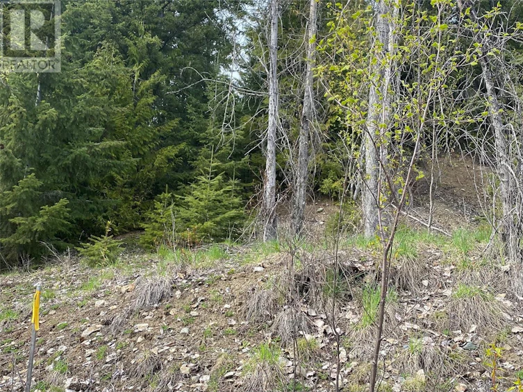 Lot 2 Anglemont Way, Anglemont, BC, V0E 1M8 - 3