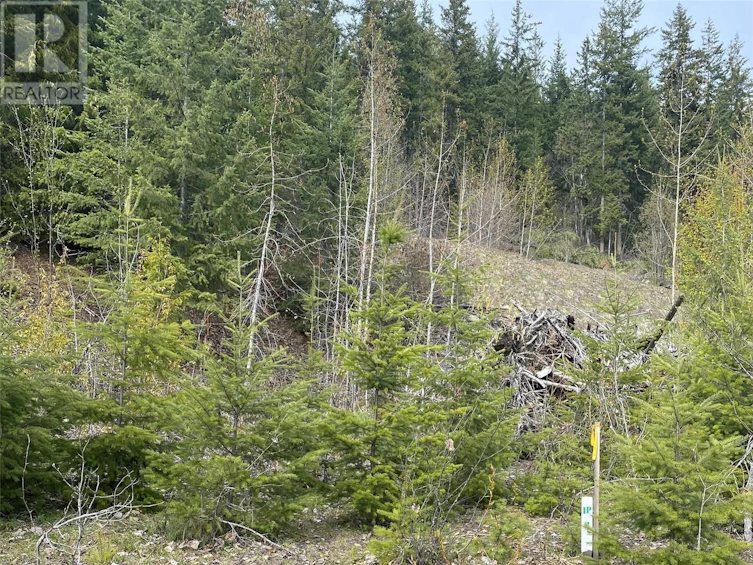 Lot 2 Anglemont Way, Anglemont, BC, V0E 1M8 - 4