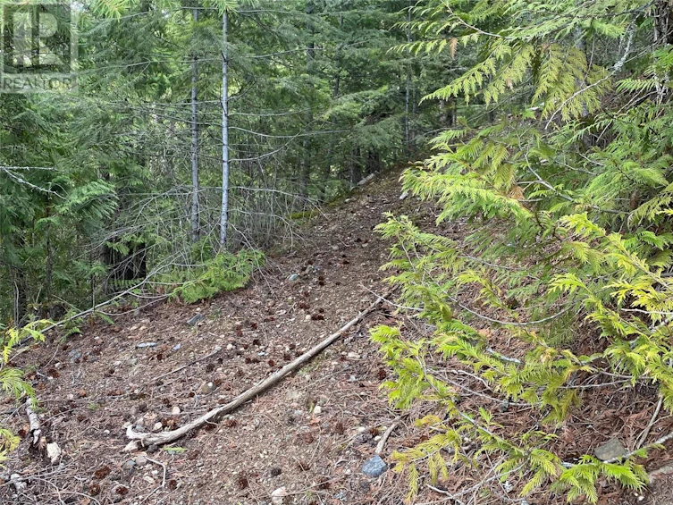 Lot 2 Anglemont Way, Anglemont, BC, V0E 1M8 - 8
