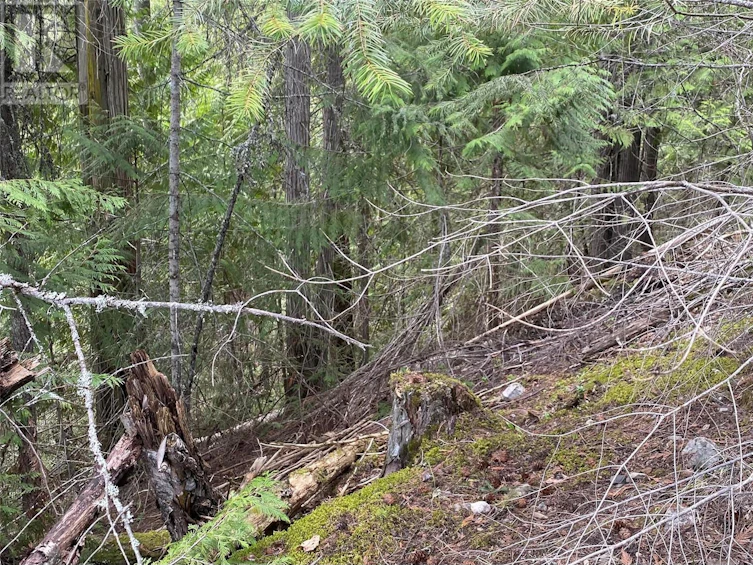 Lot 2 Anglemont Way, Anglemont, BC, V0E 1M8 - 9