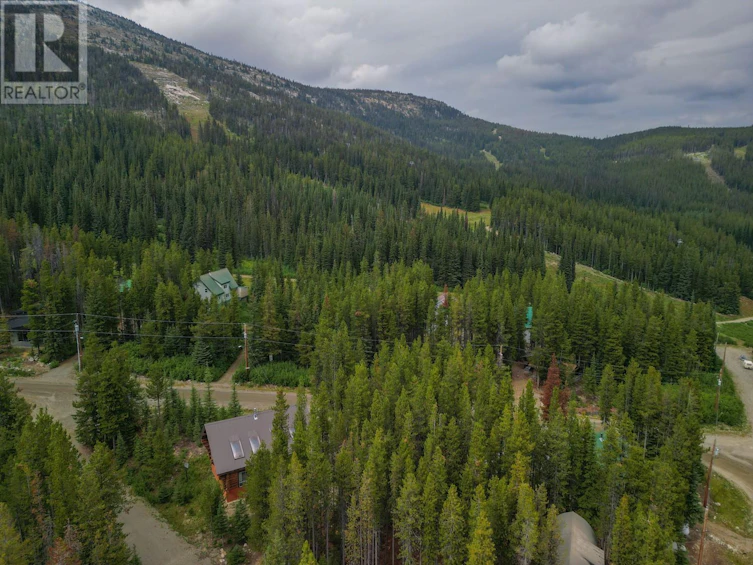 240 Tin Horn Road, Oliver, BC, V0H 1T8 - 55
