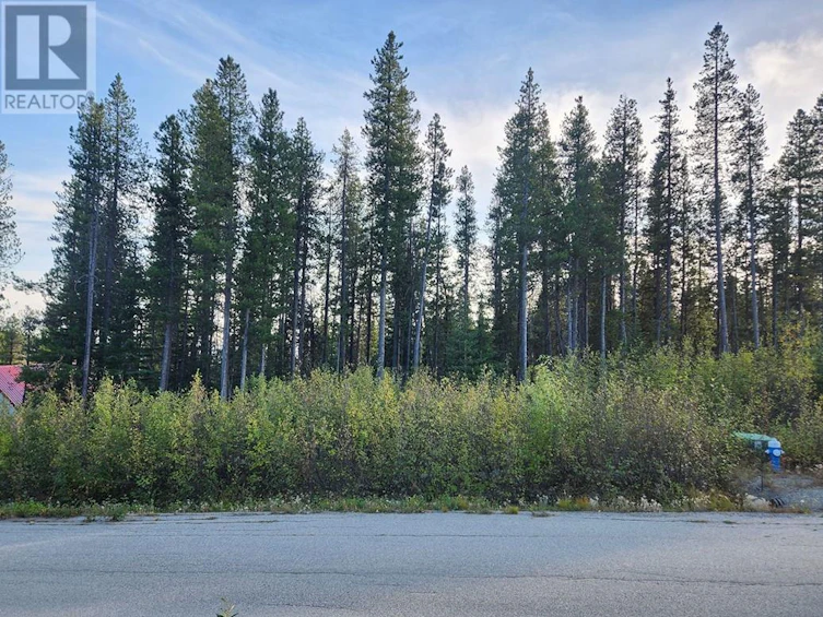 Lot-LOT 21 Buck Road, Oliver, BC, V0H 1T8 - 5