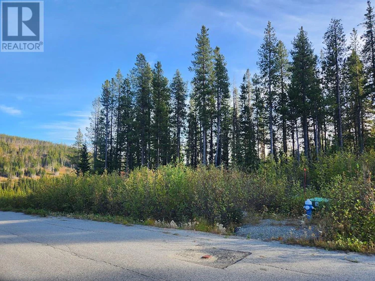 Lot-LOT 21 Buck Road, Oliver, BC, V0H 1T8 - 2