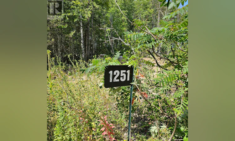 1251 Snake Creek Road