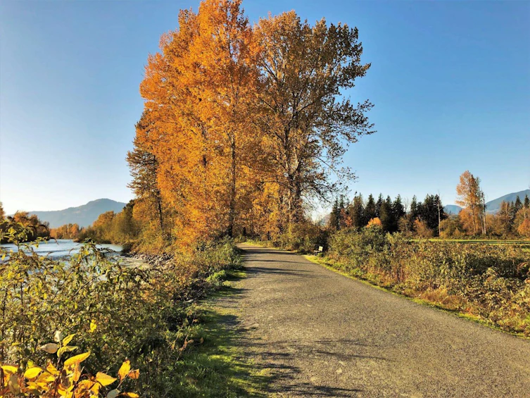 7-44849 Anglers Boulevard, Chilliwack, BC, V2R 0Y4 - 39