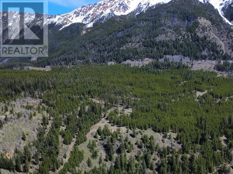 DL673 Pioneer Mine Road, Pemberton, BC, V0K 1P0