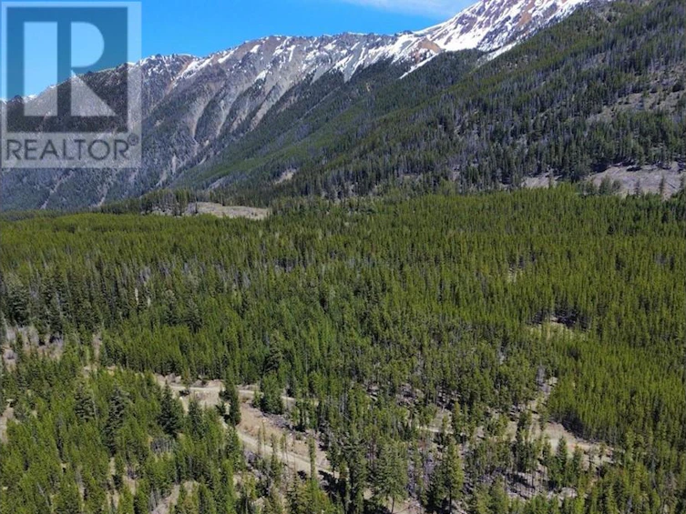 DL673 Pioneer Mine Road, Pemberton, BC, V0K 1P0 - 2