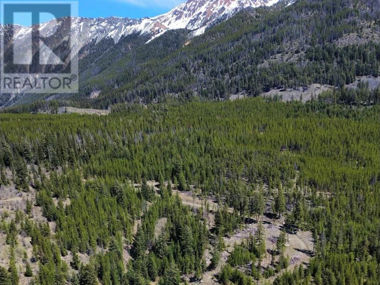 DL673 Pioneer Mine Road, Pemberton, BC, V0K 1P0 - 3