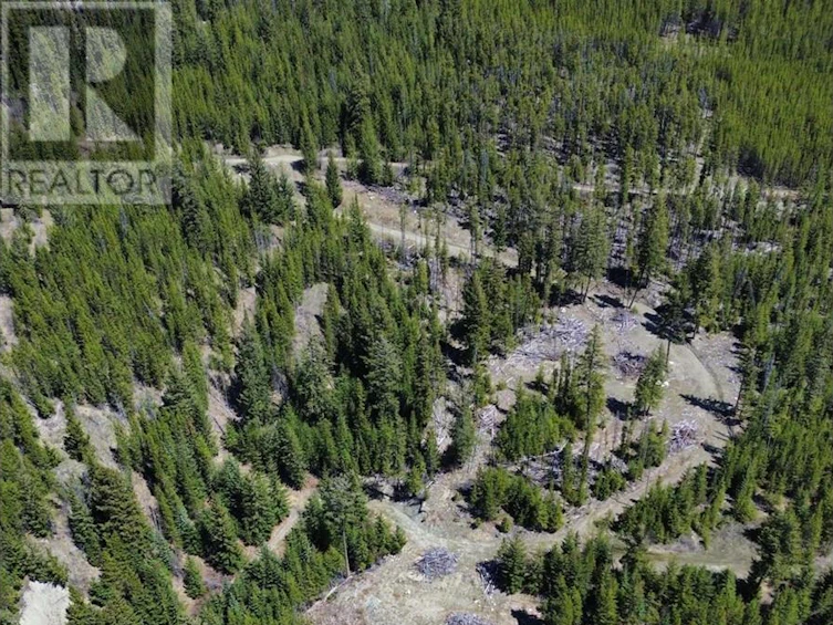 DL673 Pioneer Mine Road, Pemberton, BC, V0K 1P0 - 4