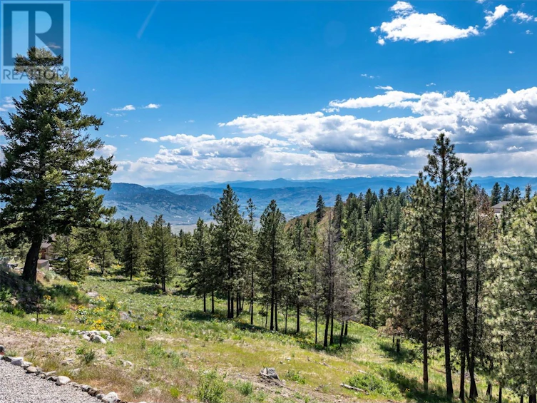 935 Eagle Place, Osoyoos, BC, V0H 1V6 - 65
