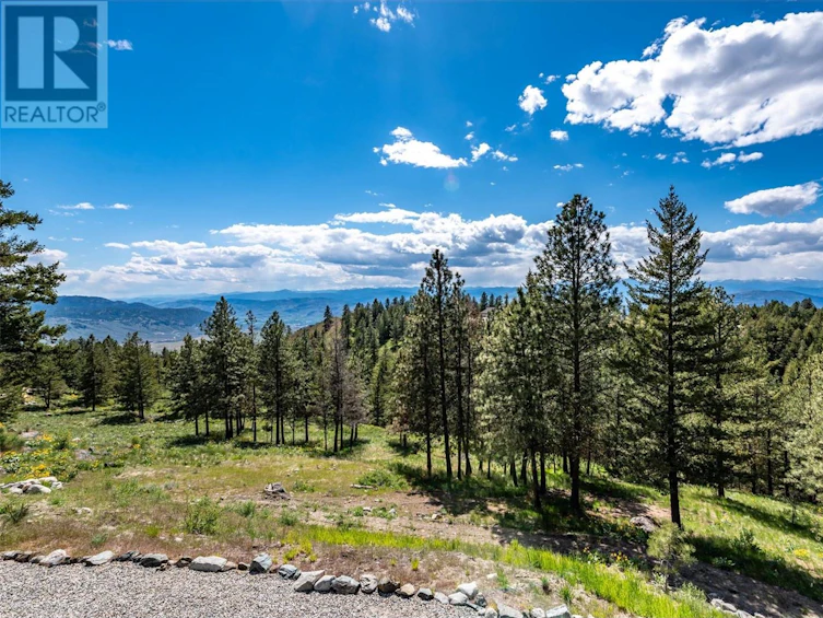 935 Eagle Place, Osoyoos, BC, V0H 1V6 - 66