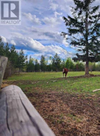 6298 Garrett Road