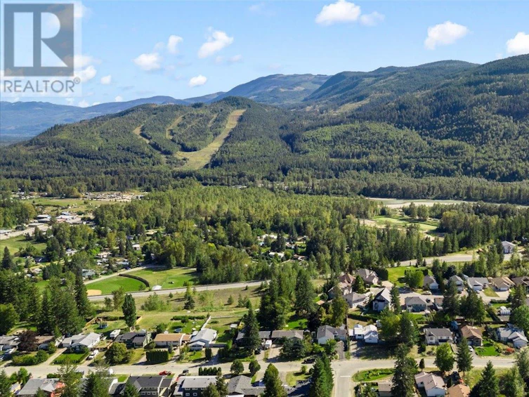 334 Robson Street Street, Clearwater, BC, V0E 1N1 - 54