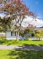 15415 Poplar Drive